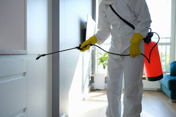 Best Emergency Mold Removal  in Mapleton, MN